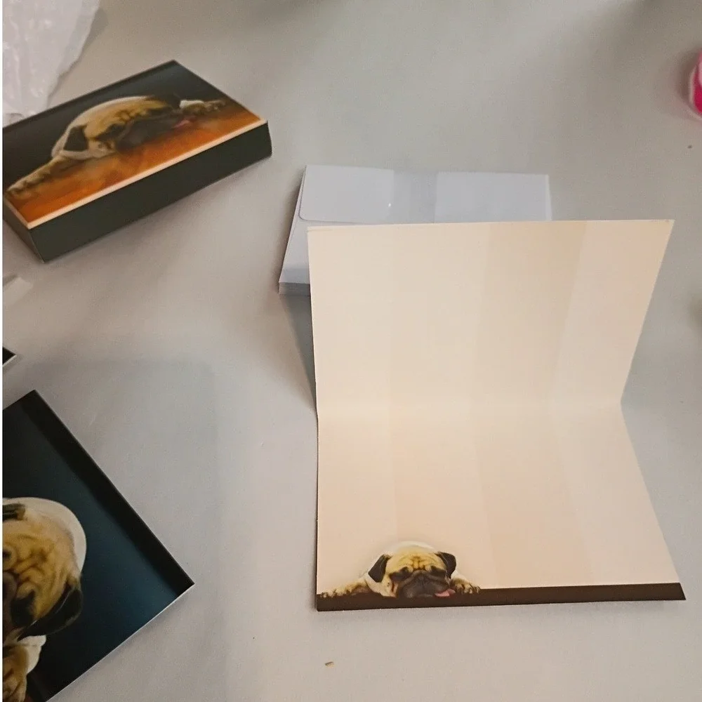 Crown Point Graphics Sleeping Pug Puppy Boxed Note Cards Set with Envelopes‎ NEW